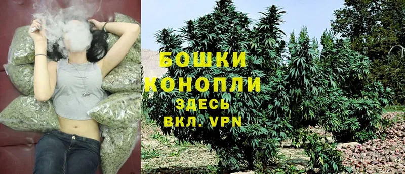 Шишки марихуана Ganja  Дно 